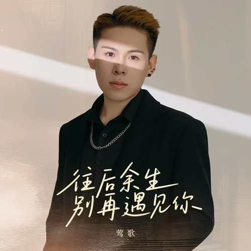 往后余生别再遇见你-莺歌