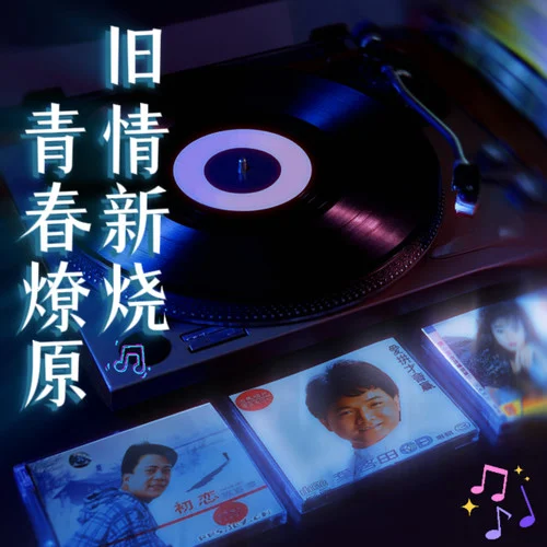 舞女 (DJ沈浪版)-陳小云