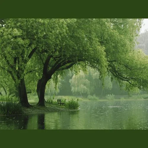 半城煙沙-輕音樂盒