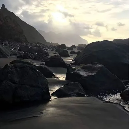 舌尖上的曼波（哈基米）-没送过女孩花、