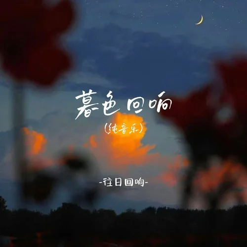 暮色回響 (純音樂(lè))-往日回響