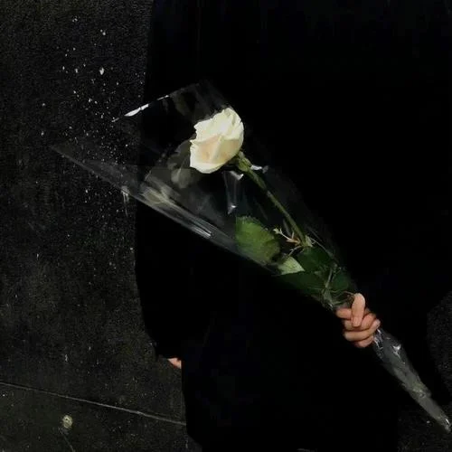 Улетали птицами гордыми (驕傲的鳥兒飛走了) (純音樂)-GUCHUNYI