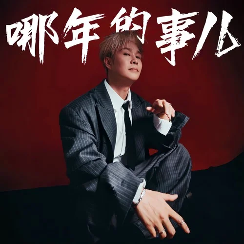 哪年的事儿-小沈阳