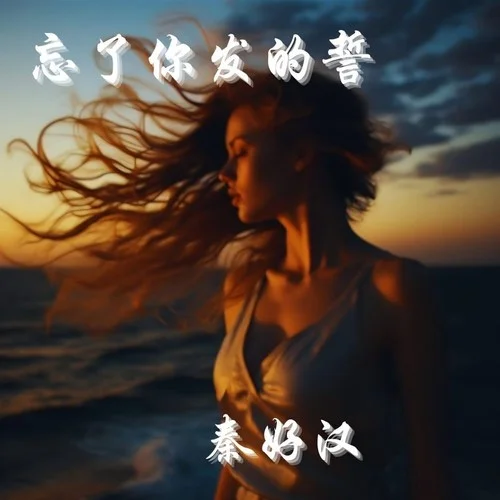 忘了你發(fā)的誓-秦好漢