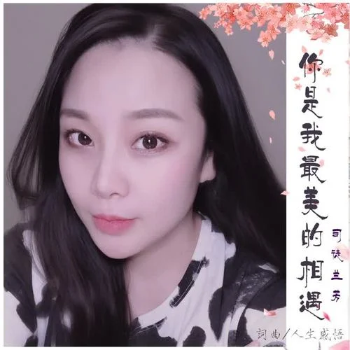 你是我最美的相遇（DJ版）-司徒蘭芳