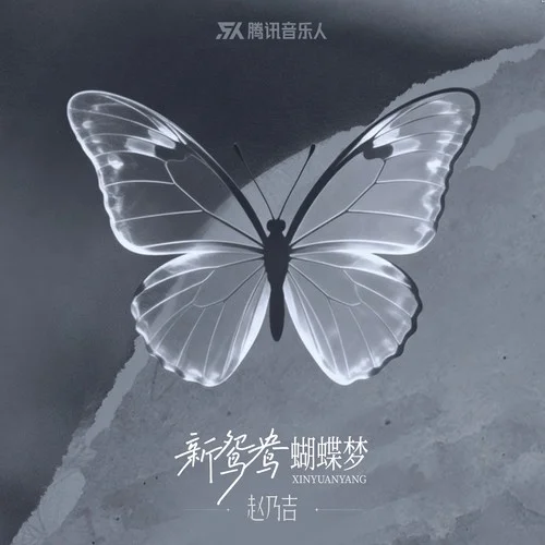 新鸳鸯蝴蝶梦-赵乃吉