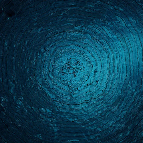 Woven Song-ólafur Arnalds