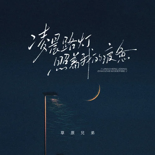 凌晨路燈照著我的疲憊 (DJ魅音版)-草原兄弟