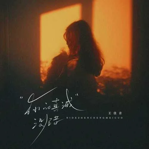 你的真誠沒錯-王佳音