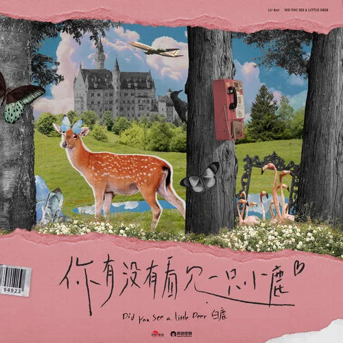 你有没有看见一只小鹿-白鹿
