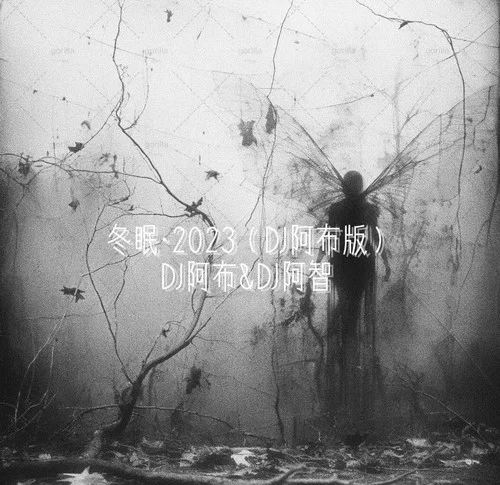 冬眠·2023(DJ阿布版)-DJ阿智&阿布