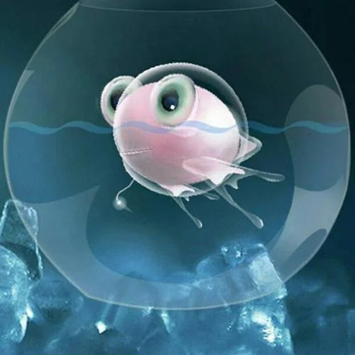 一生與你擦肩而過(guò)-思思