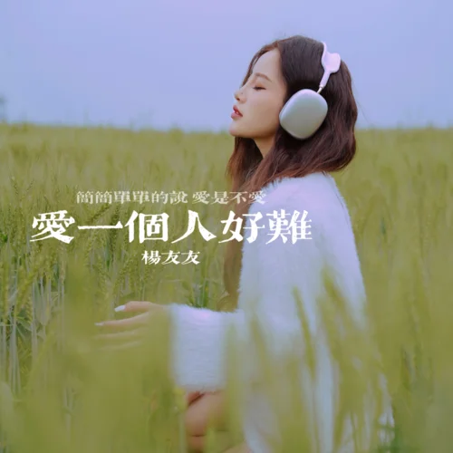 愛一個(gè)人好難 (cover: 蘇永康)-楊友友