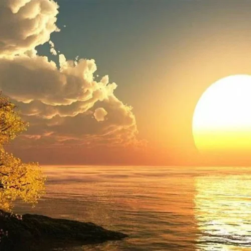 背叛情歌 (新版)-大头针&清日紫