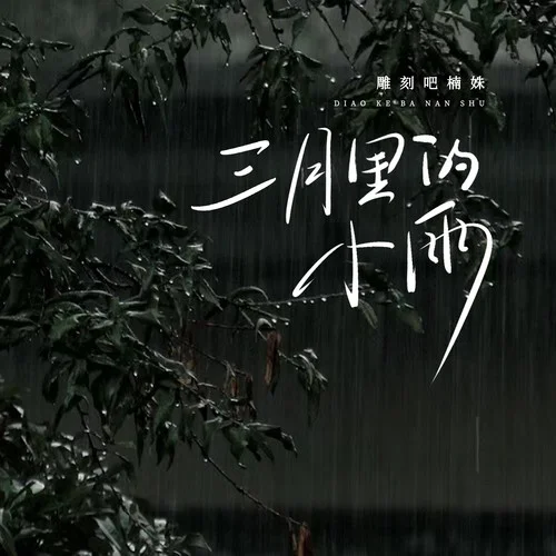 三月里的小雨(DJ版)-楠姝