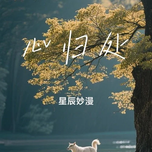 心歸處-星辰妙漫