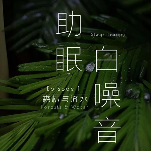 【白噪音】敲木魚的聲音 解壓放松 催眠冥想-安心音樂