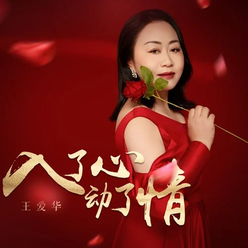 入了心動了情（DJLive合唱版）-王愛華