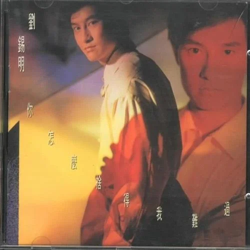 你怎么舍得我難過-劉錫明