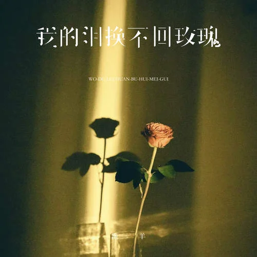 我的泪换不回玫瑰-渔羊