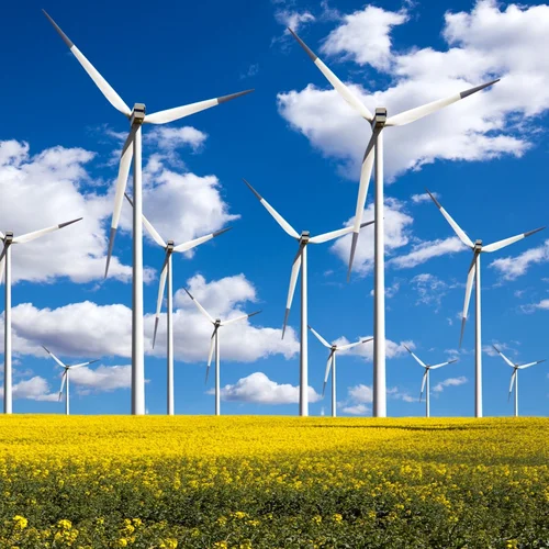 趙乃吉 – 曾經(jīng)你說-香水百合