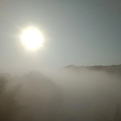 尋晚只公雞點(diǎn)樣叫-兒童歌曲