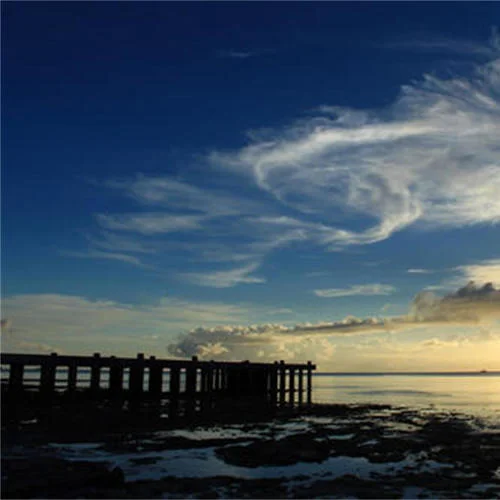 餐廳輕音樂(lè)（鋼琴曲）-桃李芬芳