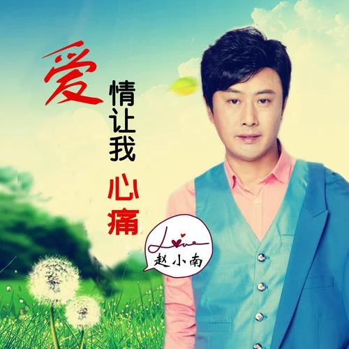 寶貝你最美（DJ版）-趙小南