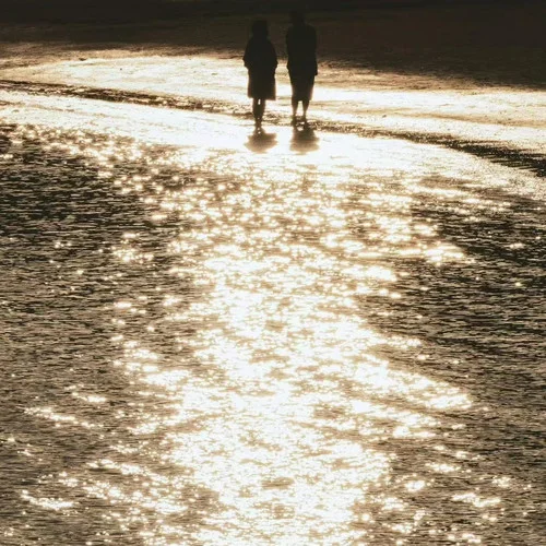 春澗 (Rnb合唱版)-情歌魚(yú)