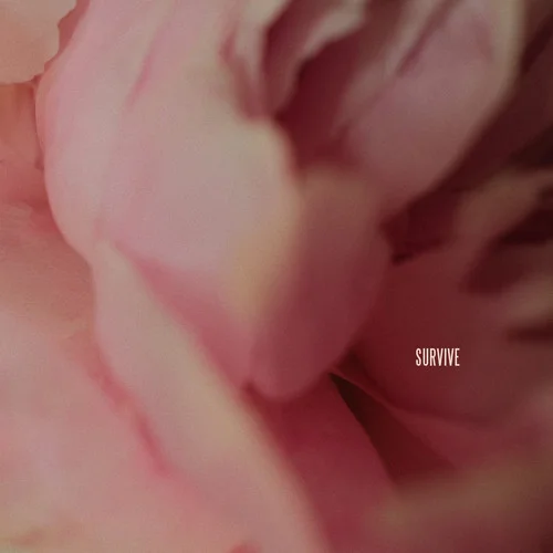 Survive-Lewis Capaldi