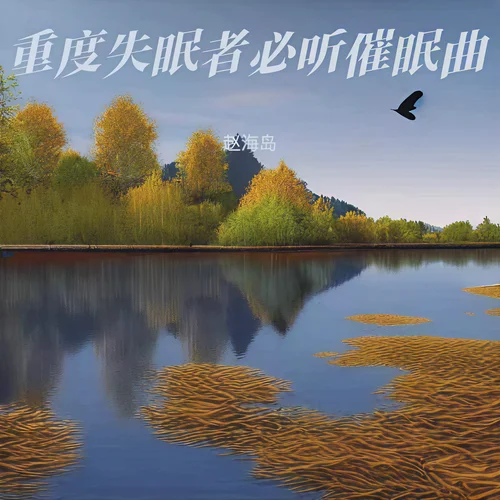 海浪聲白噪音促進深度睡眠-趙海島