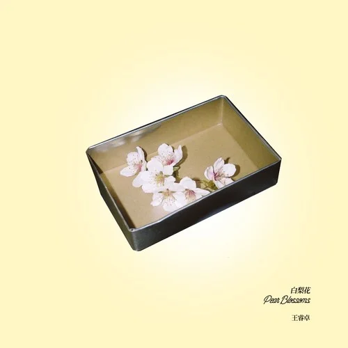 白梨花-王睿卓