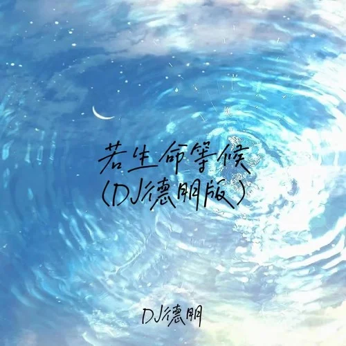 若生命等候(DJ德朋版)-DJ德朋