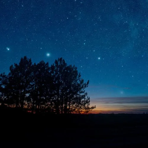 緩解抑郁 (溫馨電子琴)-安眠音樂盒