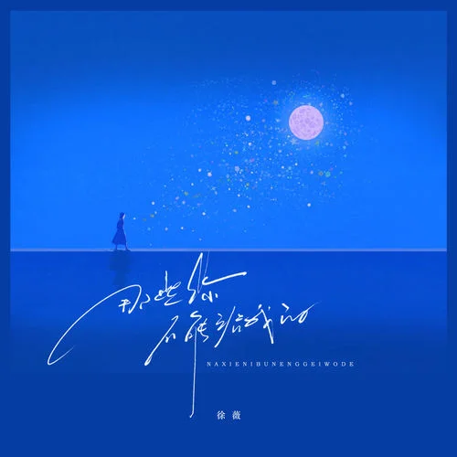 那些你不能给我的 (伴奏)-徐薇