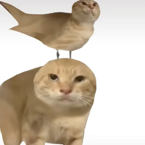 來去打基 (曼波版)-大清第一巴圖魯