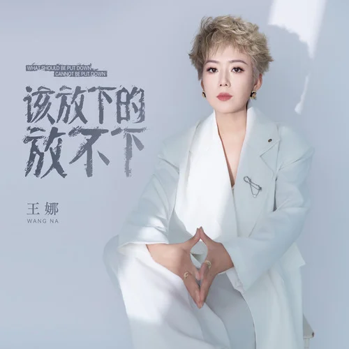 該放下的放不下-王娜