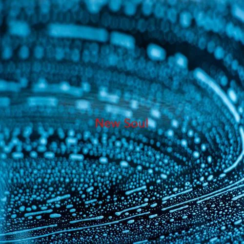 New Soul(Instrumental version originally performed by Yael Naim)-Yael Na?m