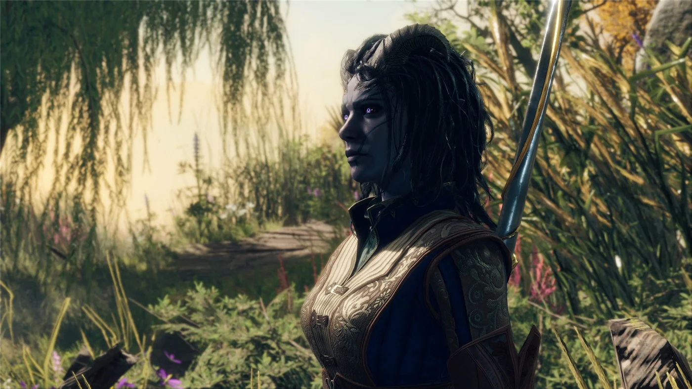 《博德之門3》v4.1.1.6897358正式版