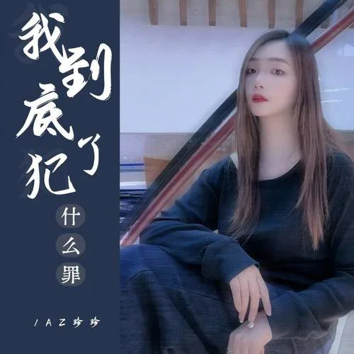 我到底犯了什么罪 (DJ彭銳版)-AZ珍珍