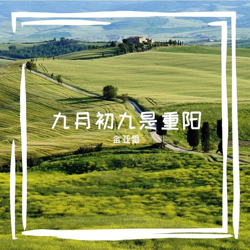 男人很苦也很累-金亞雷