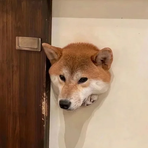 Nijamena (翻奏: H2s)-夜貍Yeli