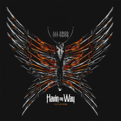 Havin My Way (feat. Lil Durk)-Lil Skies&Lil Durk