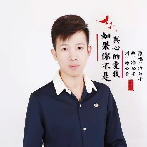 如果你不是真心的愛我-冷澈