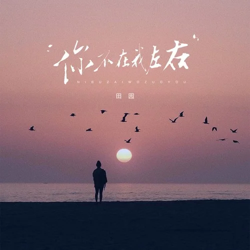 你不在我左右(心卻被你左右)-田園