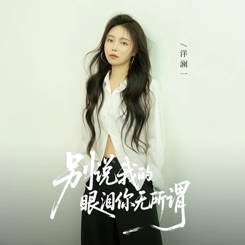 別說我的眼淚你無所謂（DJ鐵柱版）-洋瀾一