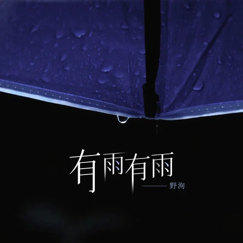 有雨有雨-野洵