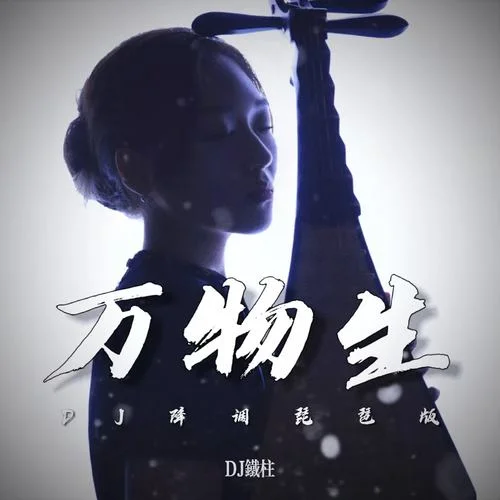 萬物生 (DJ降調(diào)琵琶版)-DJ鐵柱