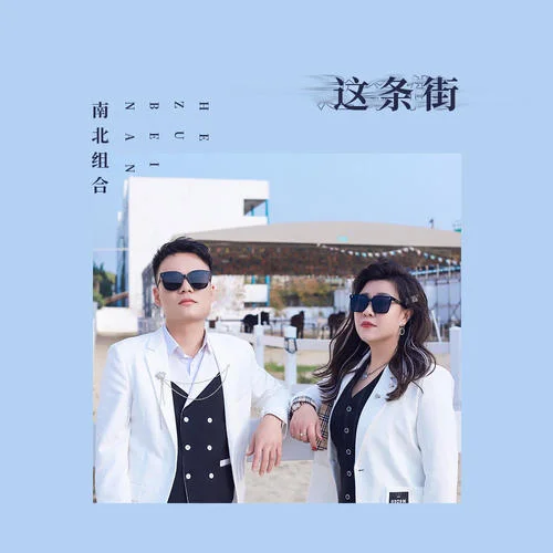 這條街-南北組合