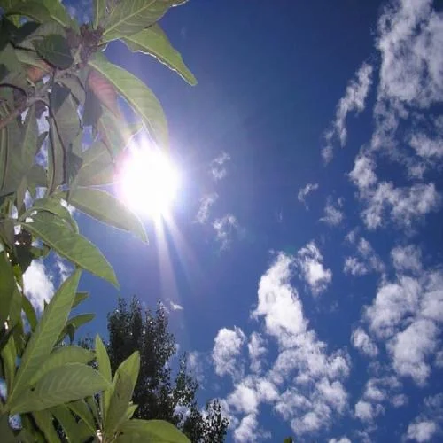 周深 - Unravel-八喜